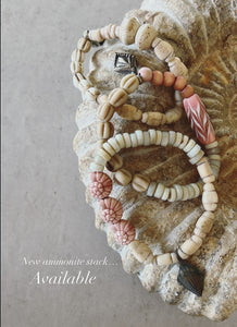 Ammonite stack