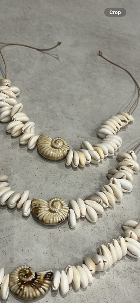 Ammonite necklace