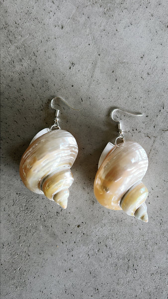 Turbo Shell Earrings.