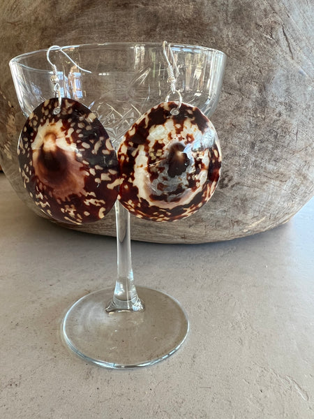 Limpet Shell Earrings