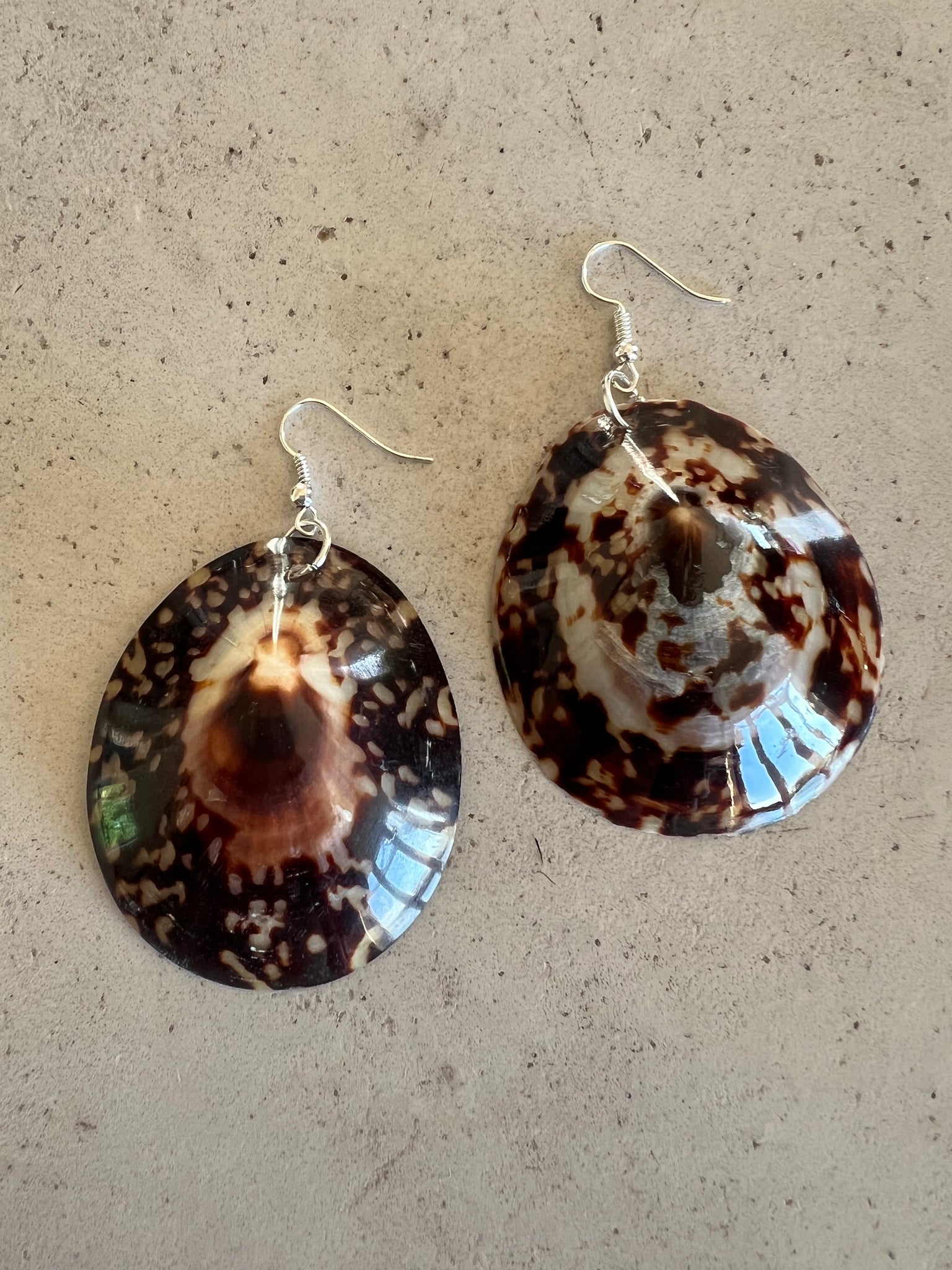 Limpet Shell Earrings