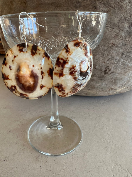 Limpet Shell Earrings