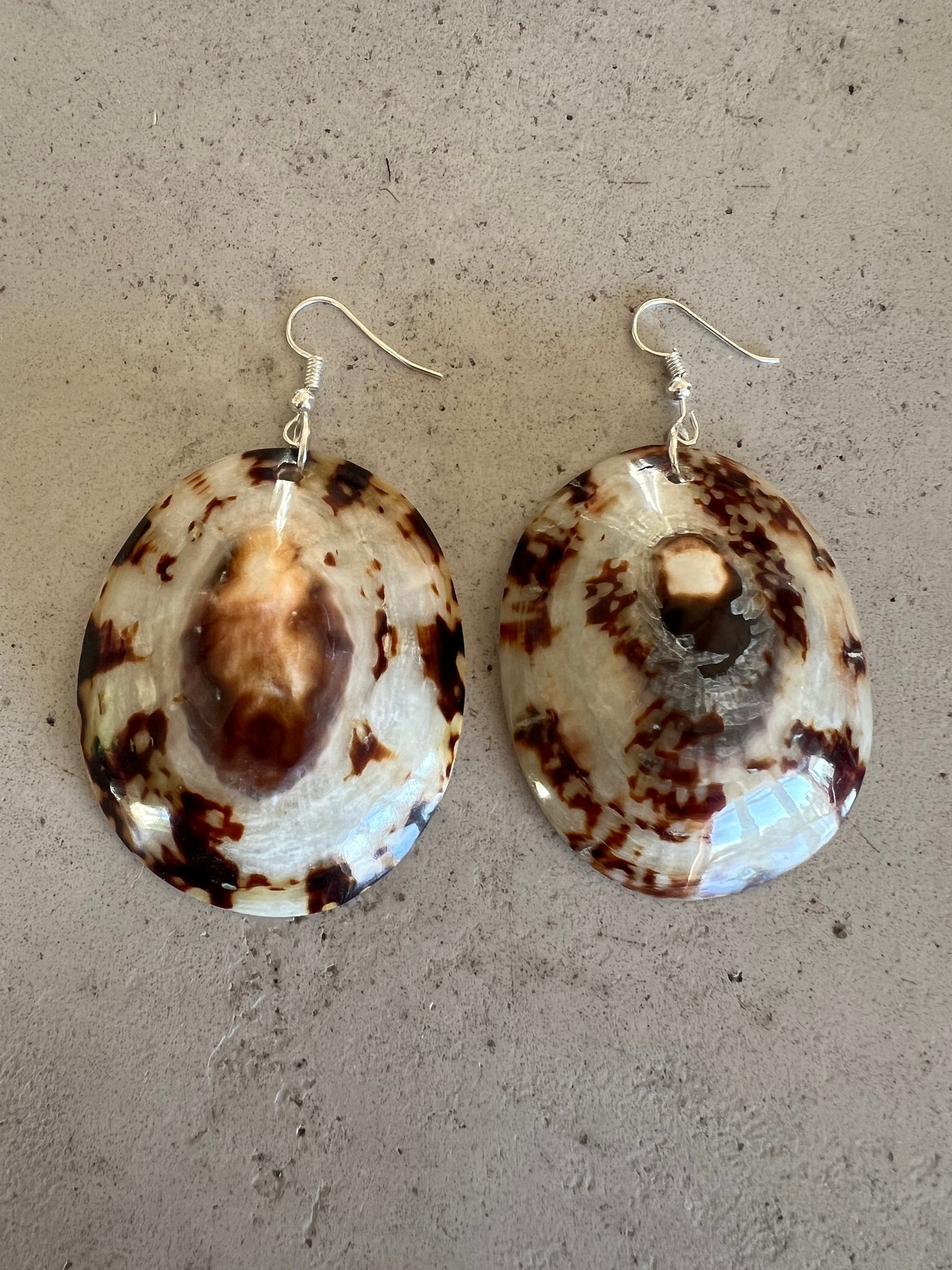 Limpet Shell Earrings