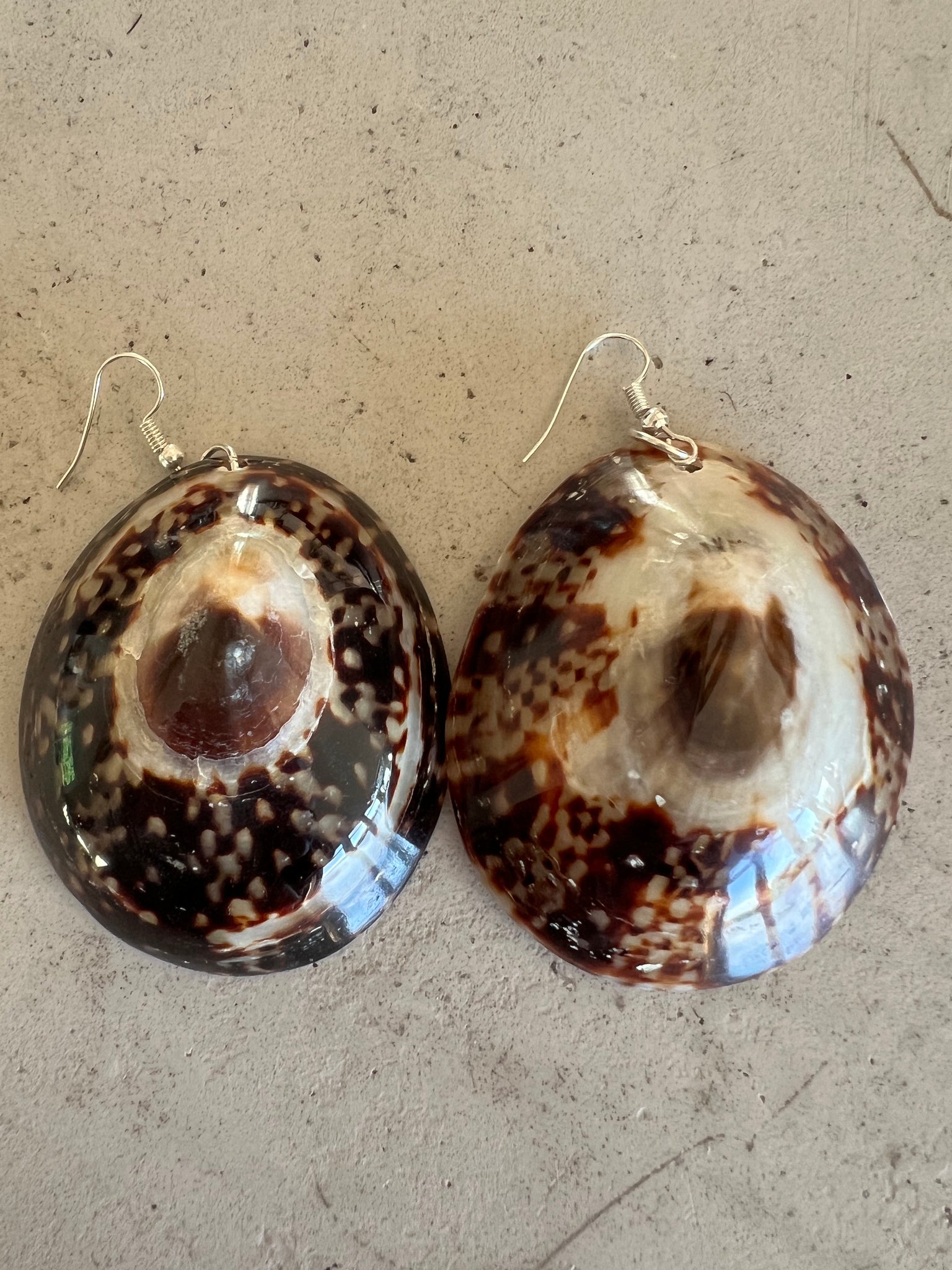 Limpet Shell Earrings