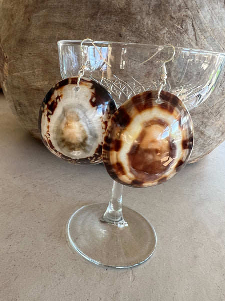 Limpet Shell Earrings