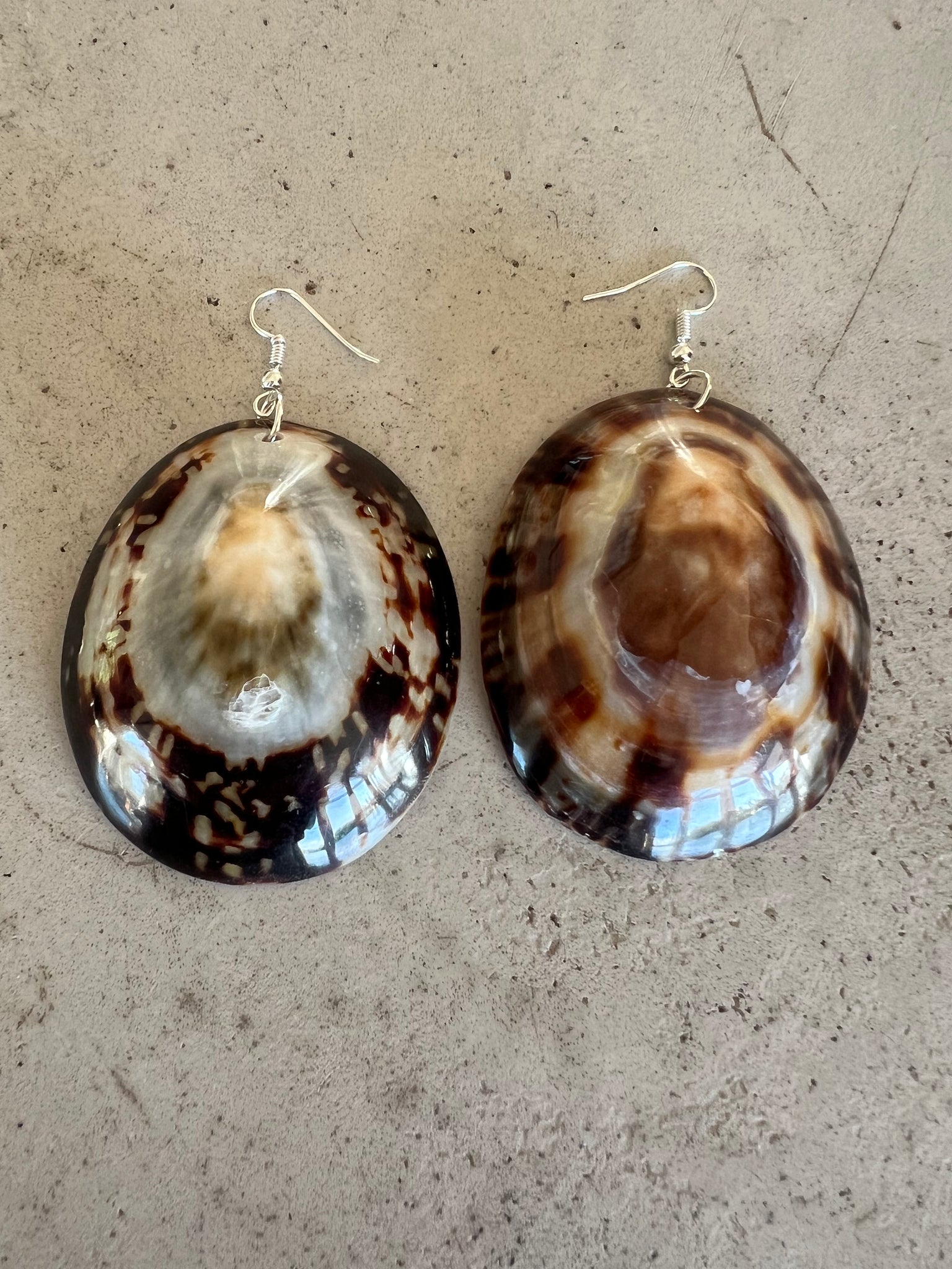 Limpet Shell Earrings