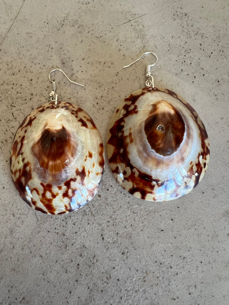 Limpet Shell Earrings