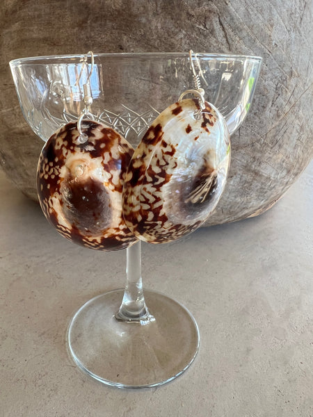 Limpet Shell Earrings