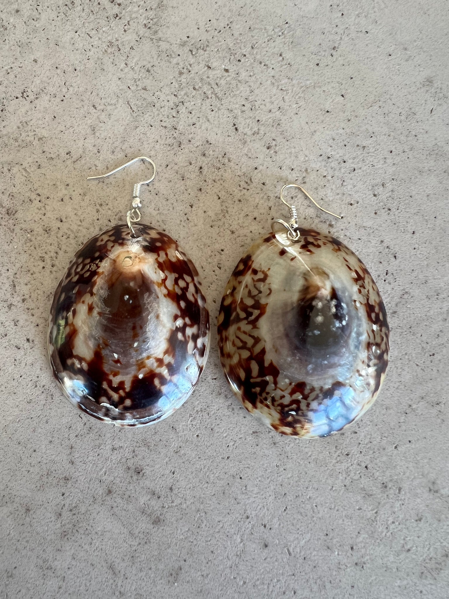 Limpet Shell Earrings