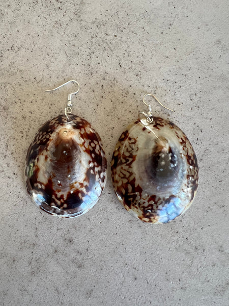 Limpet Shell Earrings