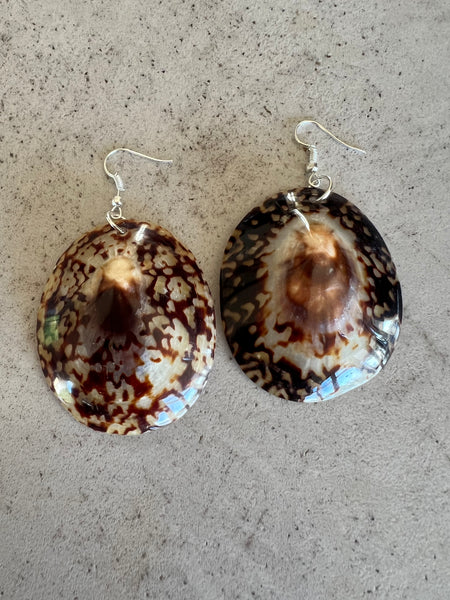 Limpet Shell Earrings