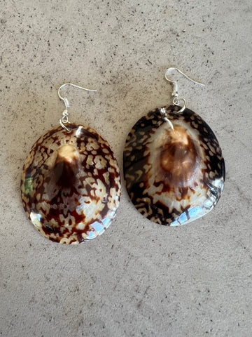 Limpet Shell Earrings