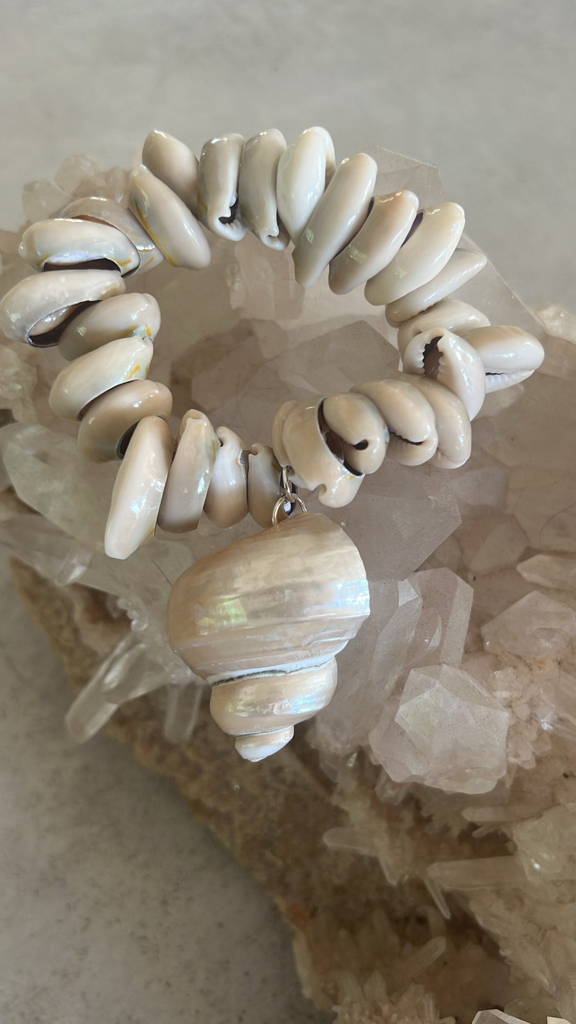 Cowrie Turbo Shell Bracelet