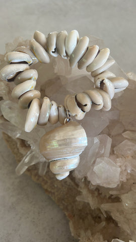 Cowrie Turbo Shell Bracelet