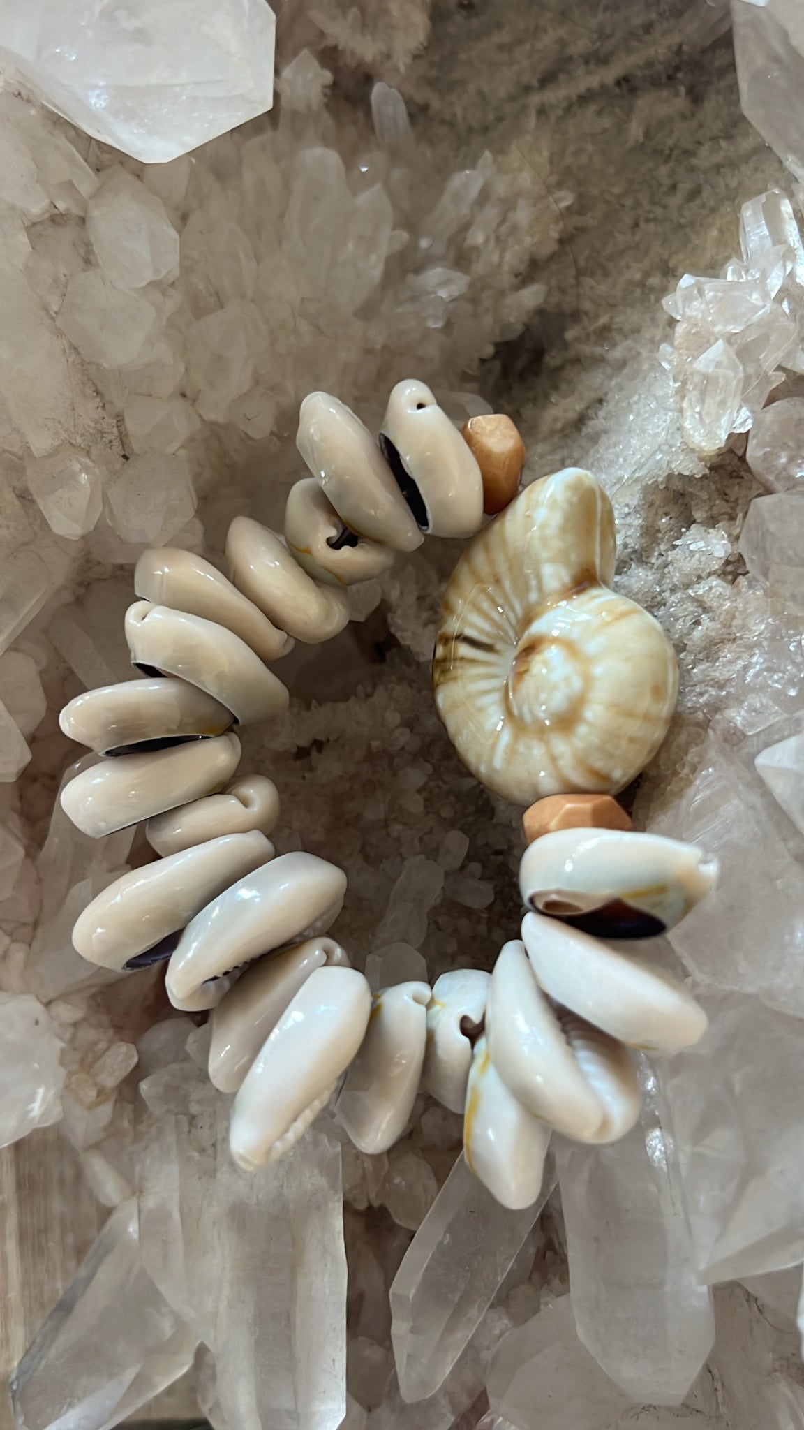 Ammonite cowrie bracelet