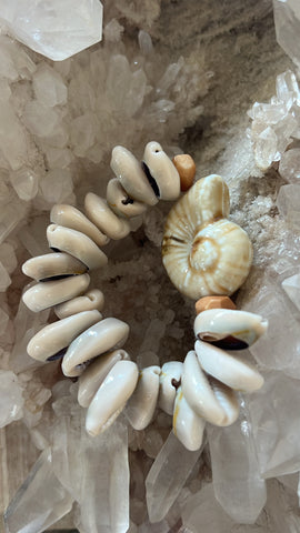Ammonite cowrie bracelet